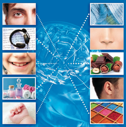 colloque-sens-maison-chimie